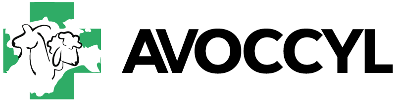logo avoccyl
